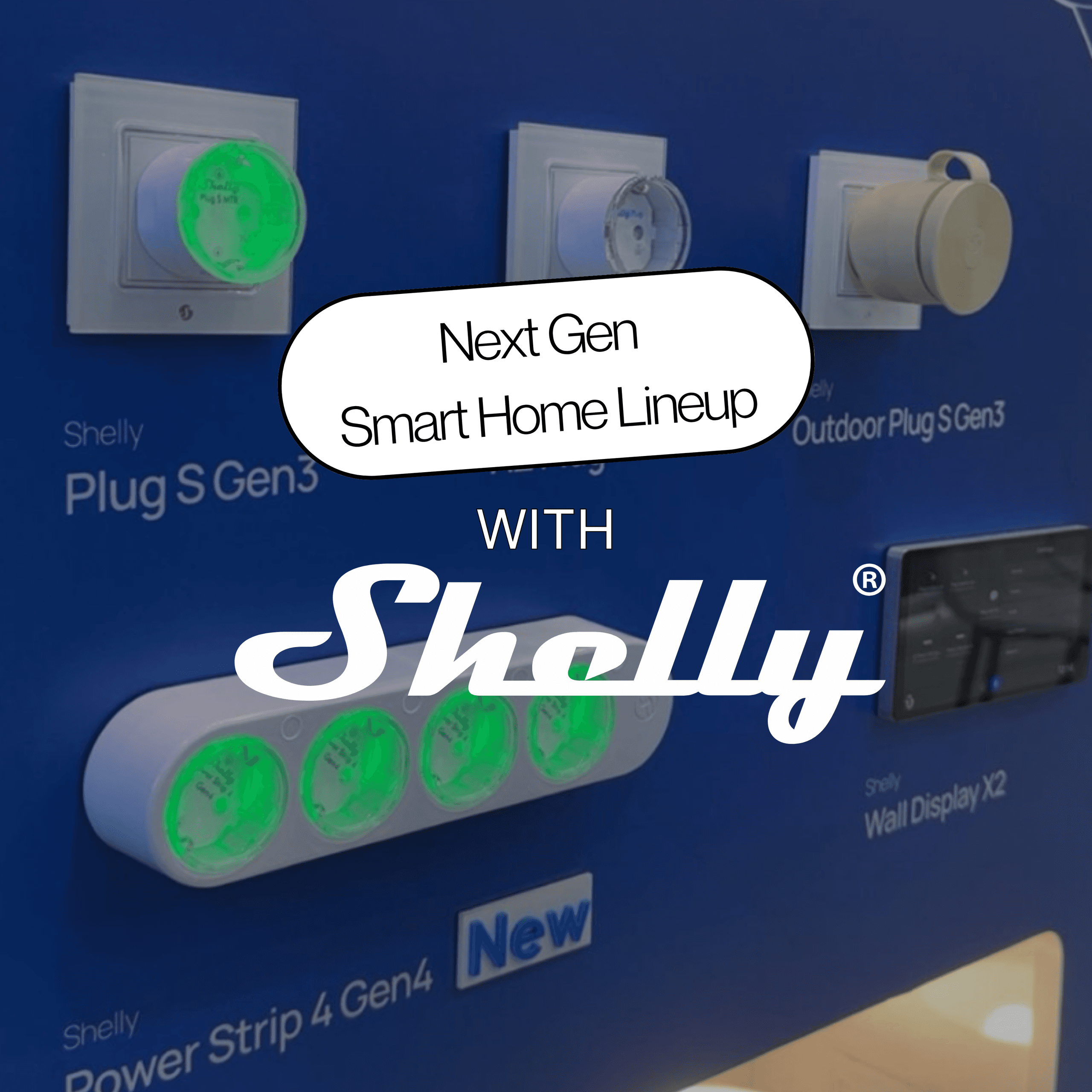 Shelly's New Product Line-Up: Everything You Need to Know