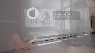 Shelly Dimmer 2 WiFi Smart Dimmer Switch