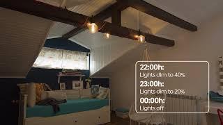 Shelly 0-10V Smart Dimmer