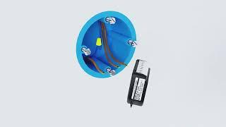 Shelly Qubino Wave 2PM Power Meter