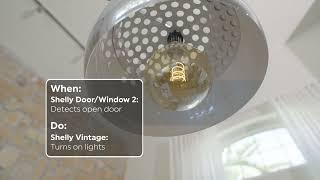 Shelly BLU Door/Window Sensor Brown