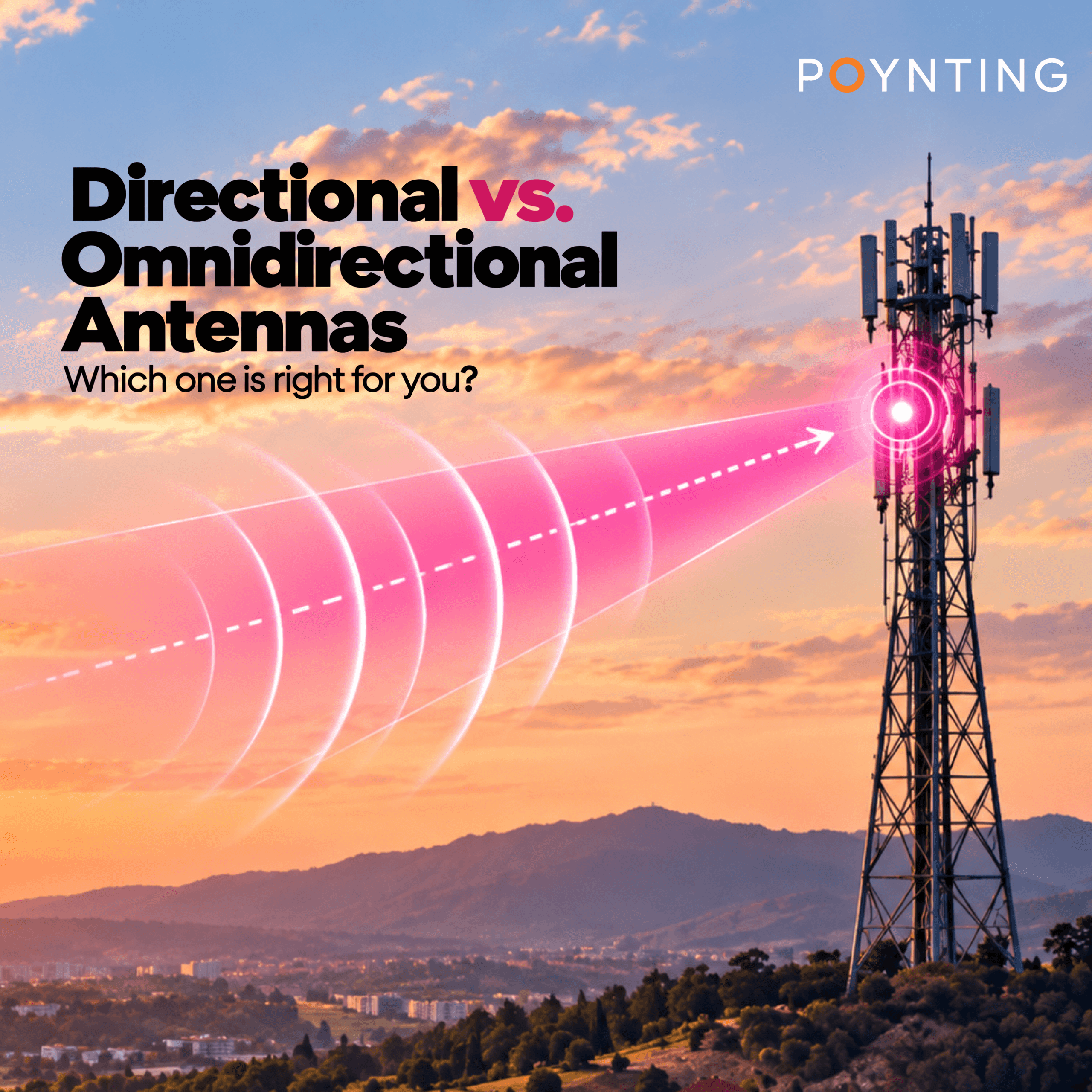 Directional vs Omnidirectional Antennas: Which Do YOU Need? 