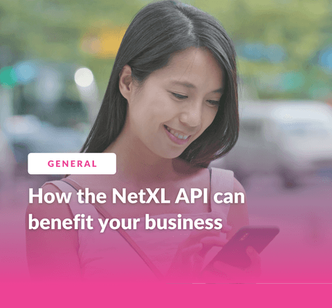 A Beginner's Guide to the NetXL API