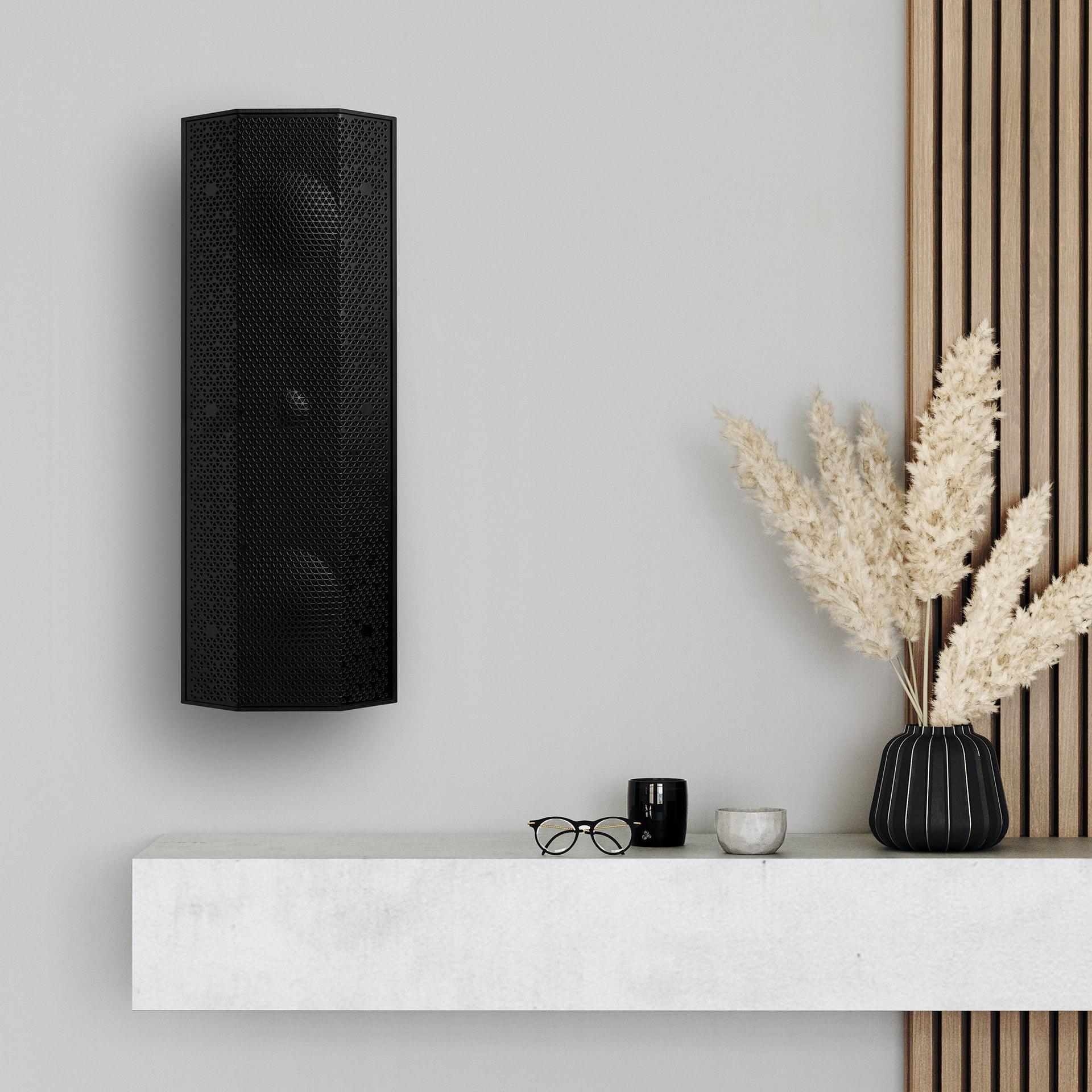 Lithe Audio iO1 Indoor & Outdoor Passive Speaker in Black Wall Mount